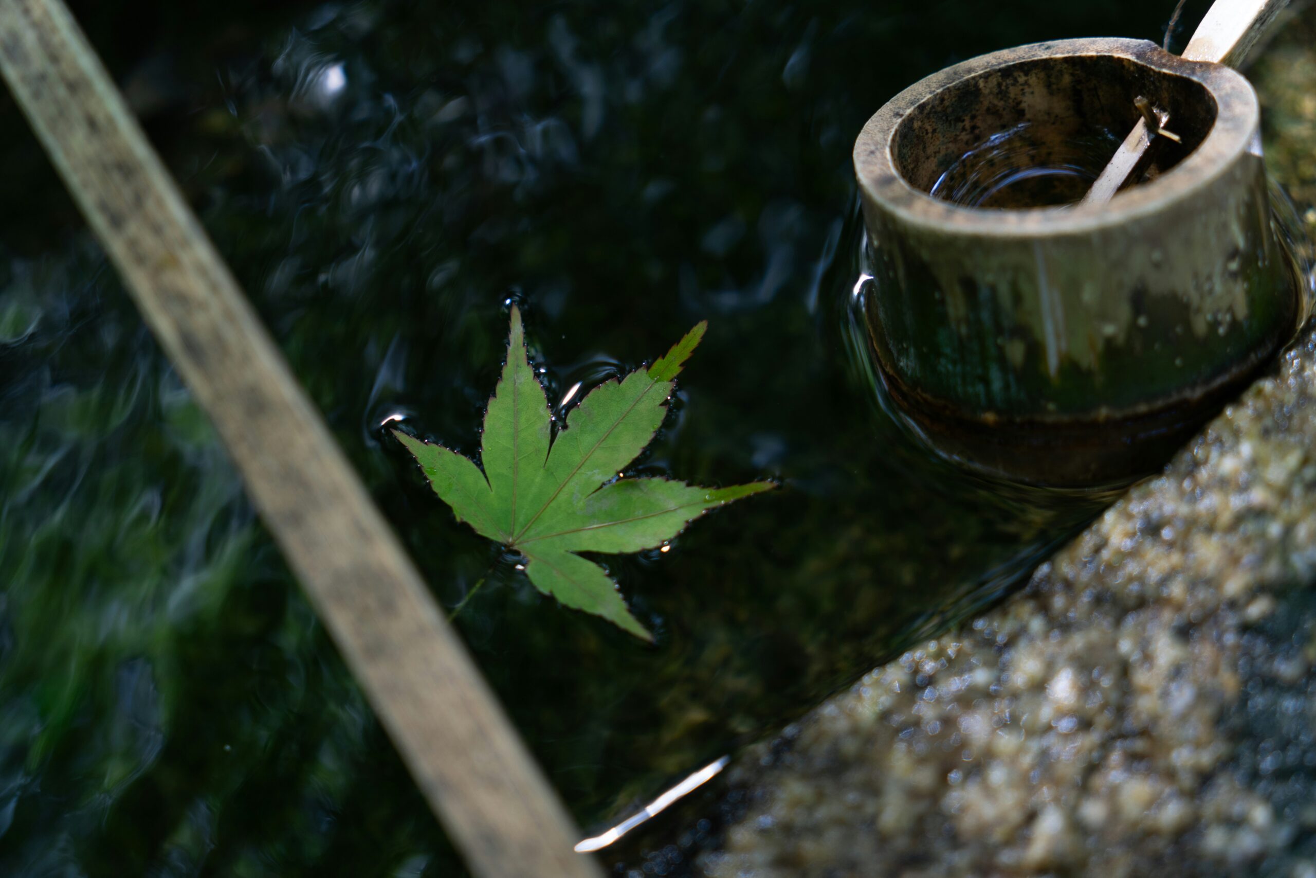 茶の道